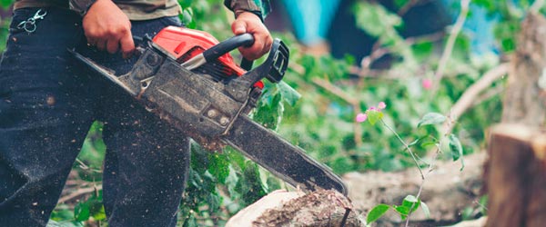 afilado cadenas motosierras
