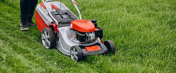 afilado cuchillas cortacesped