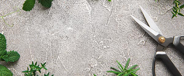 afilado tijera de cocina