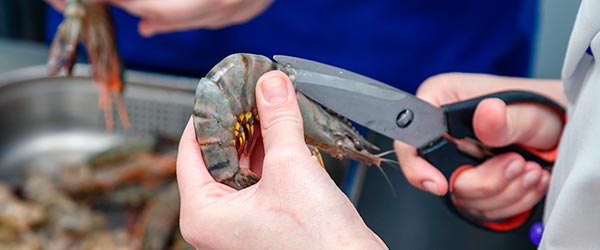 afilado tijera pescaderia