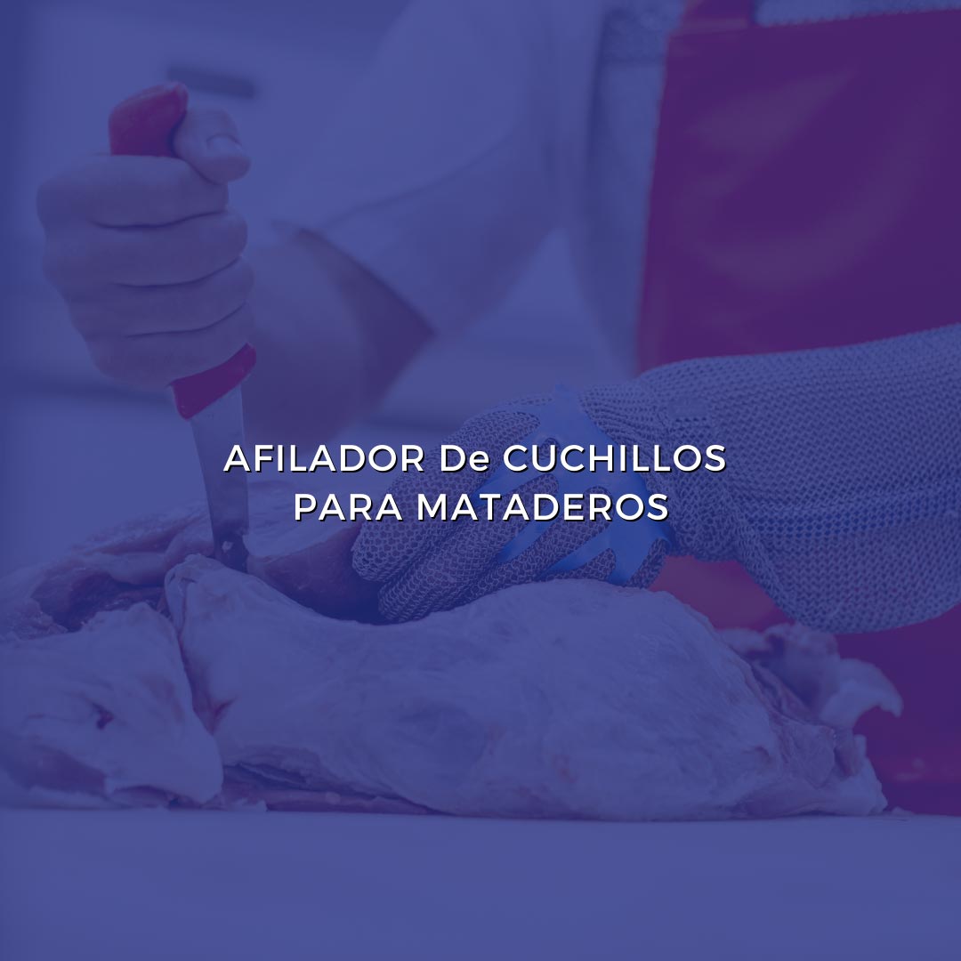 Afilador-de-cuchillos-para-mataderos Afilador-de-cuchillos-para-mataderos